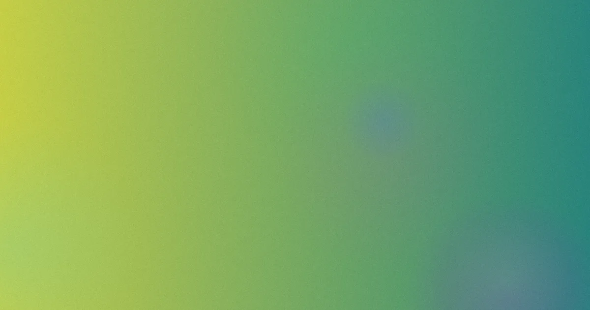 麻辣教师攻略：版本横评与补番顺序